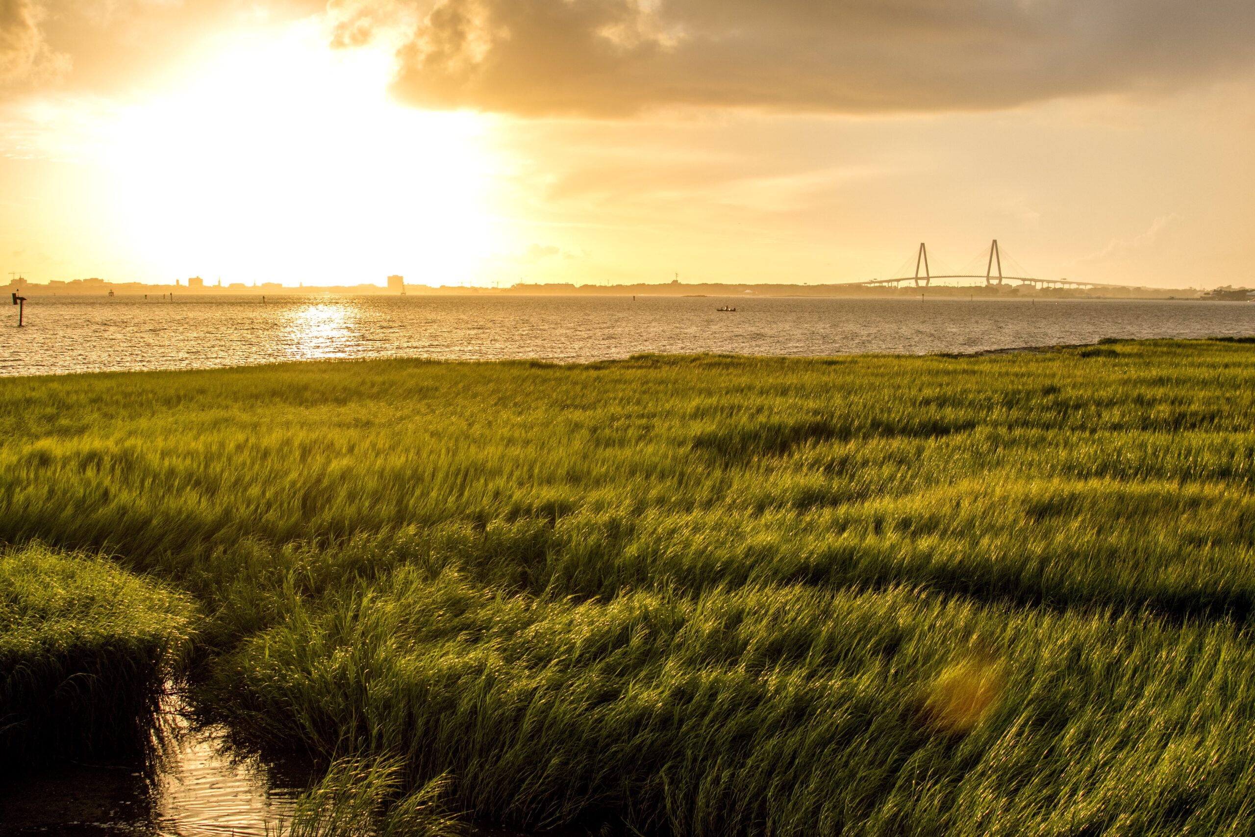 Beautiful Marsh Views