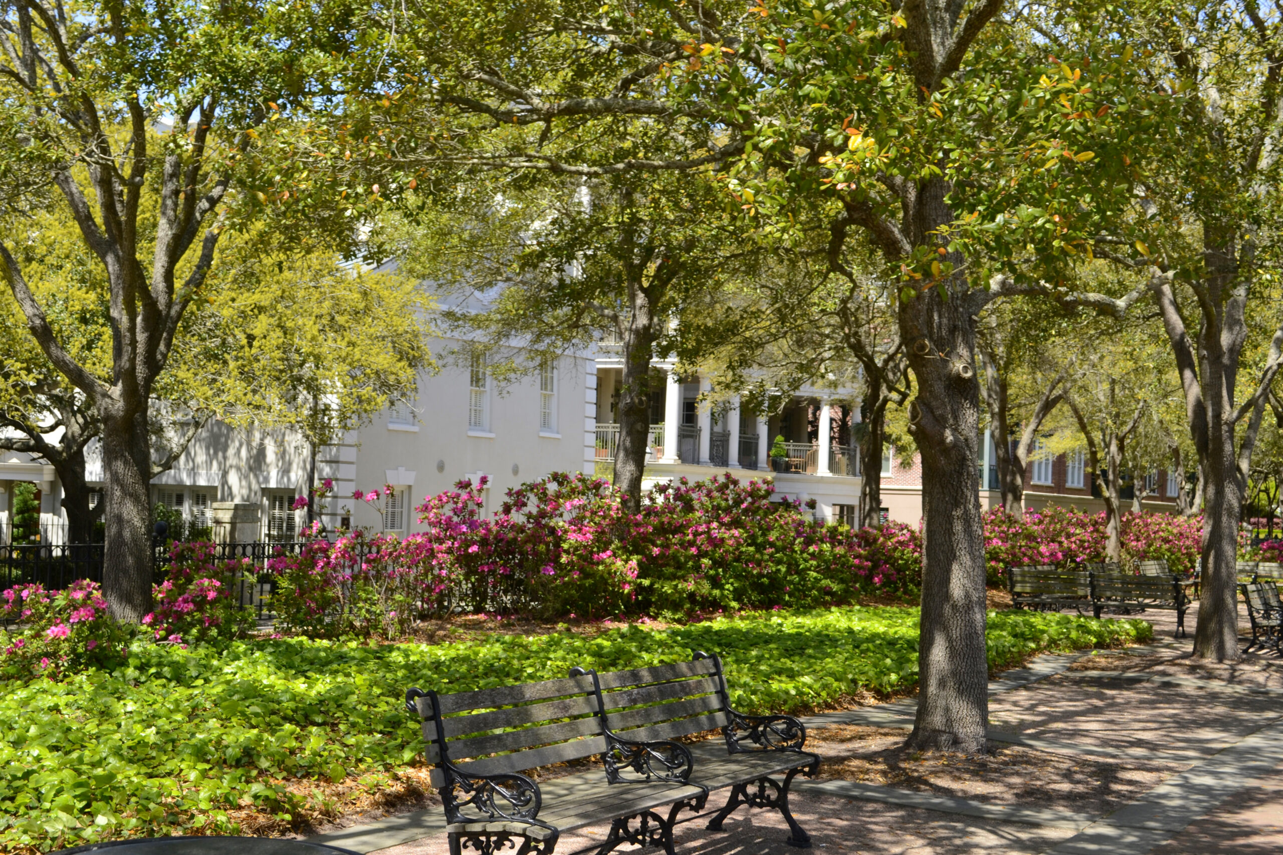 Downtown Gardens